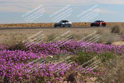 media/Jan-08-2023-SCCA SD (Sun) [[8f6a5b9391]]/Novice Group/Session 2 (Short Straight)/